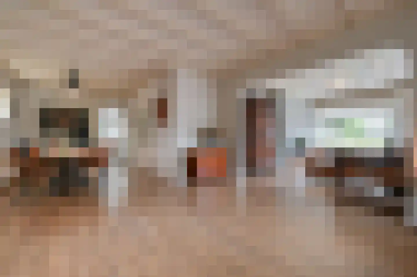 Langestraat 39 Huizen thumbnail 15