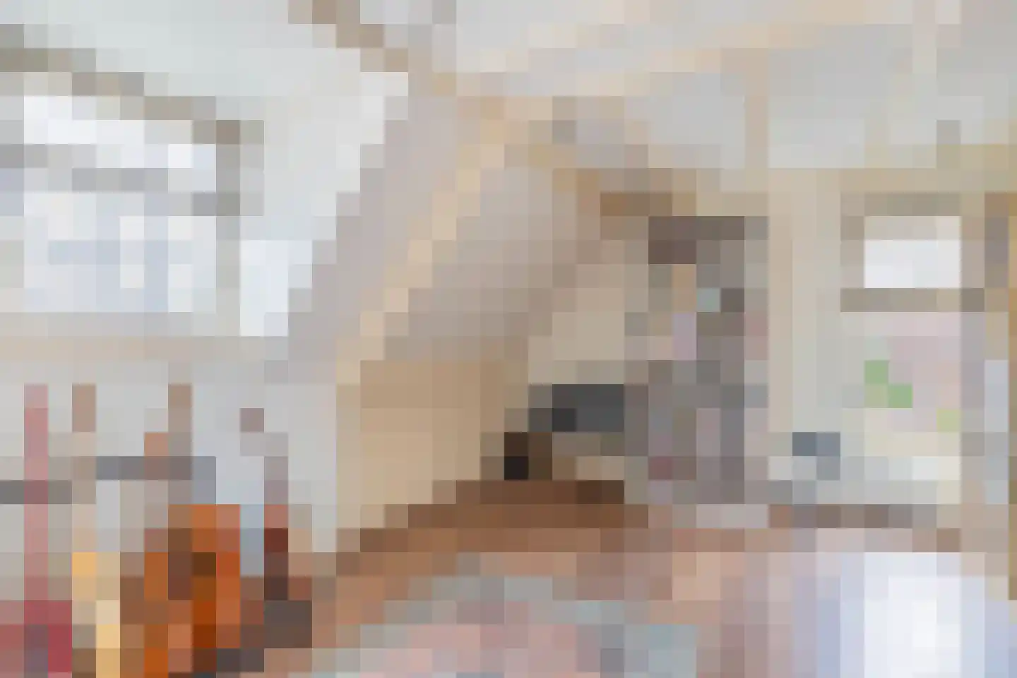 Langestraat 39 Huizen thumbnail 17