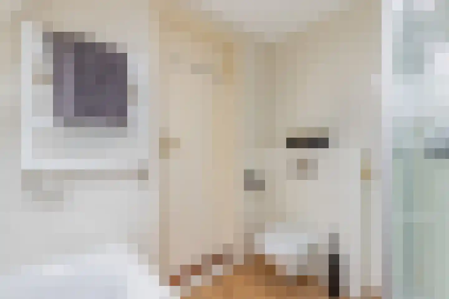 Langestraat 39 Huizen thumbnail 21