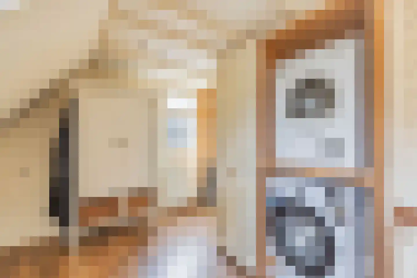 Langestraat 39 Huizen thumbnail 22