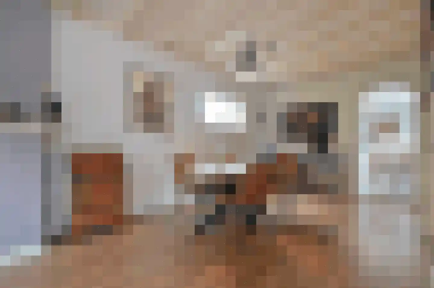 Langestraat 39 Huizen thumbnail 22