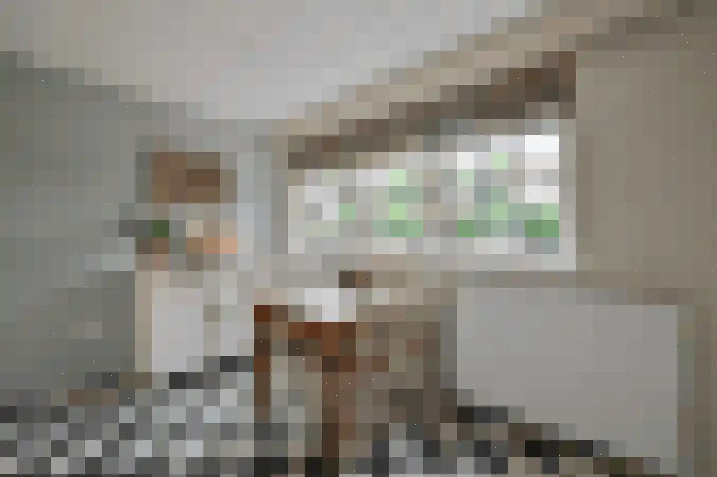 Langestraat 39 Huizen thumbnail 25