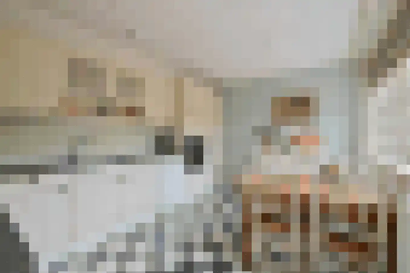 Langestraat 39 Huizen thumbnail 26