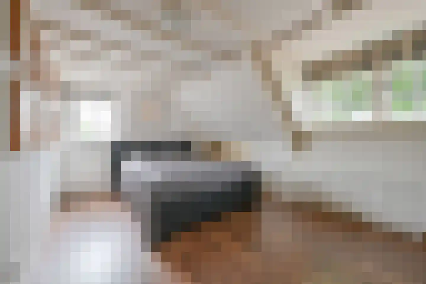 Langestraat 39 Huizen thumbnail 32