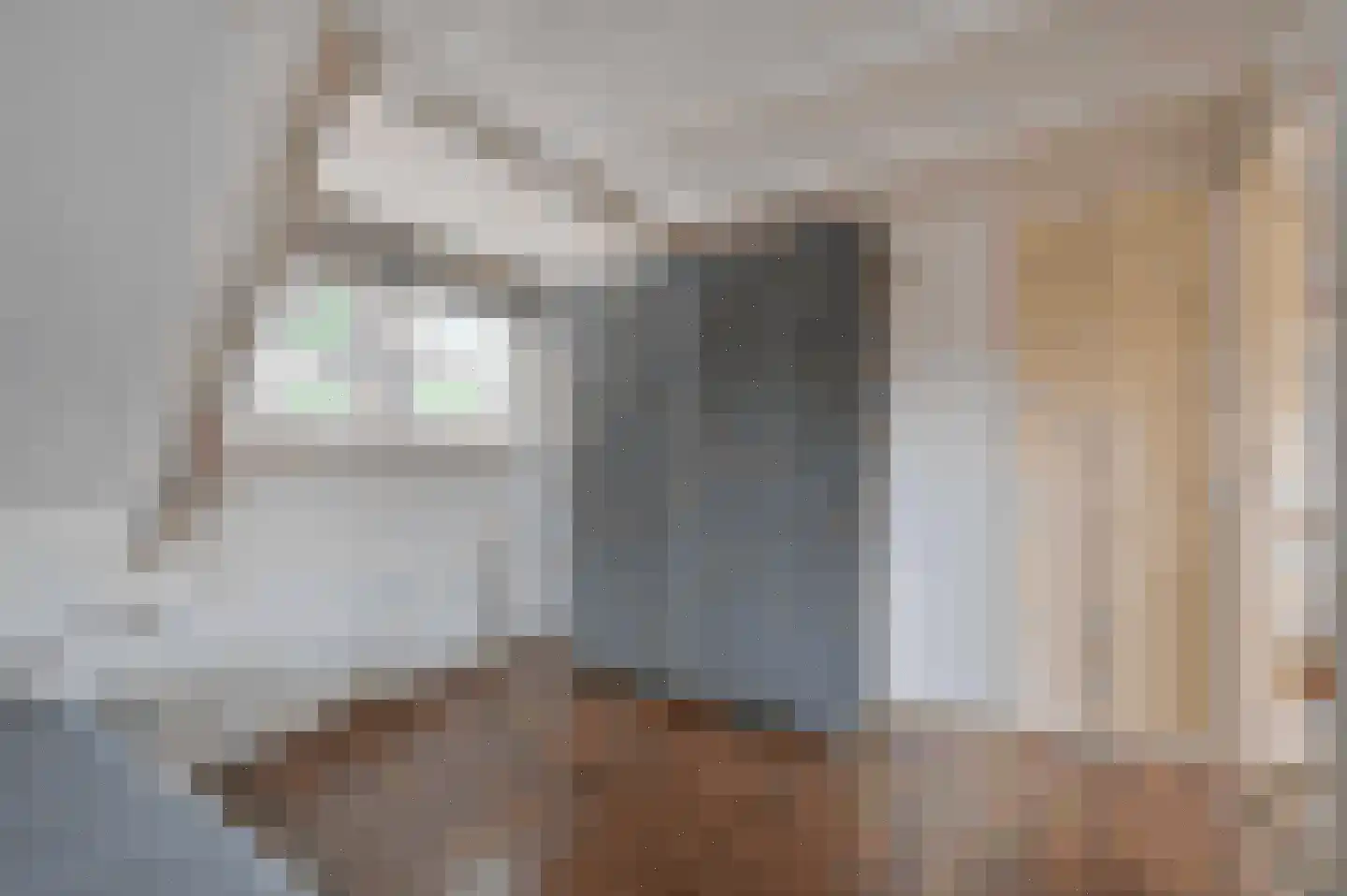 Langestraat 39 Huizen thumbnail 33