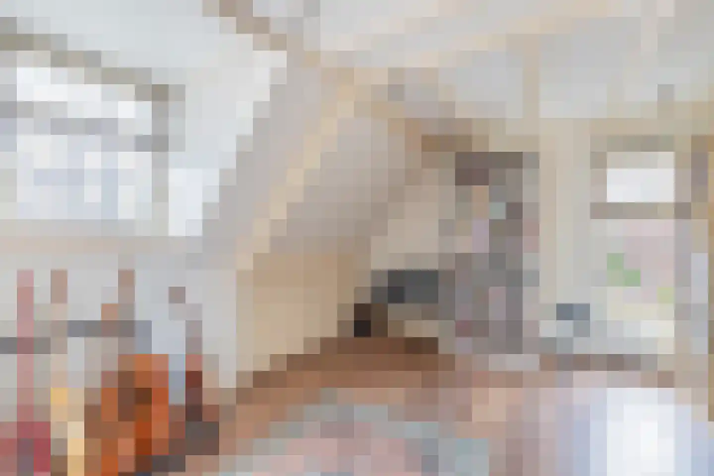 Langestraat 39 Huizen thumbnail 35