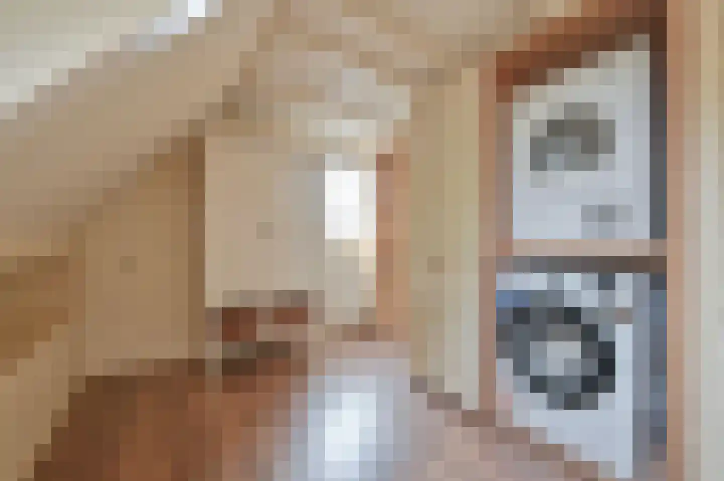 Langestraat 39 Huizen thumbnail 37