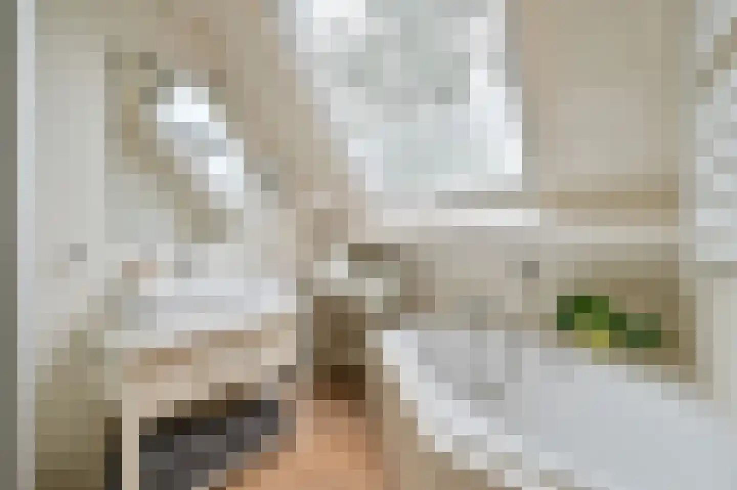 Langestraat 39 Huizen thumbnail 38
