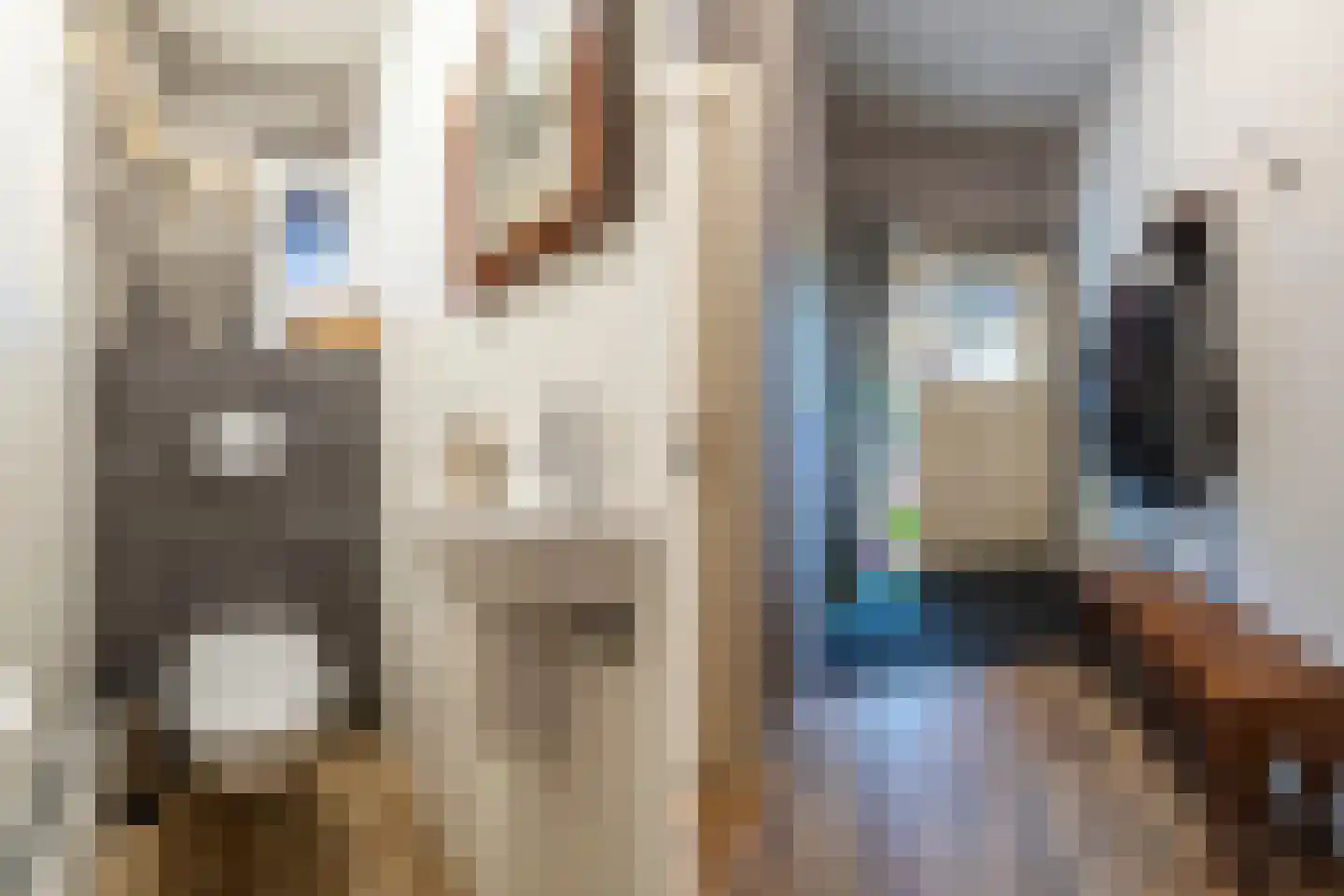Langestraat 39 Huizen thumbnail 4