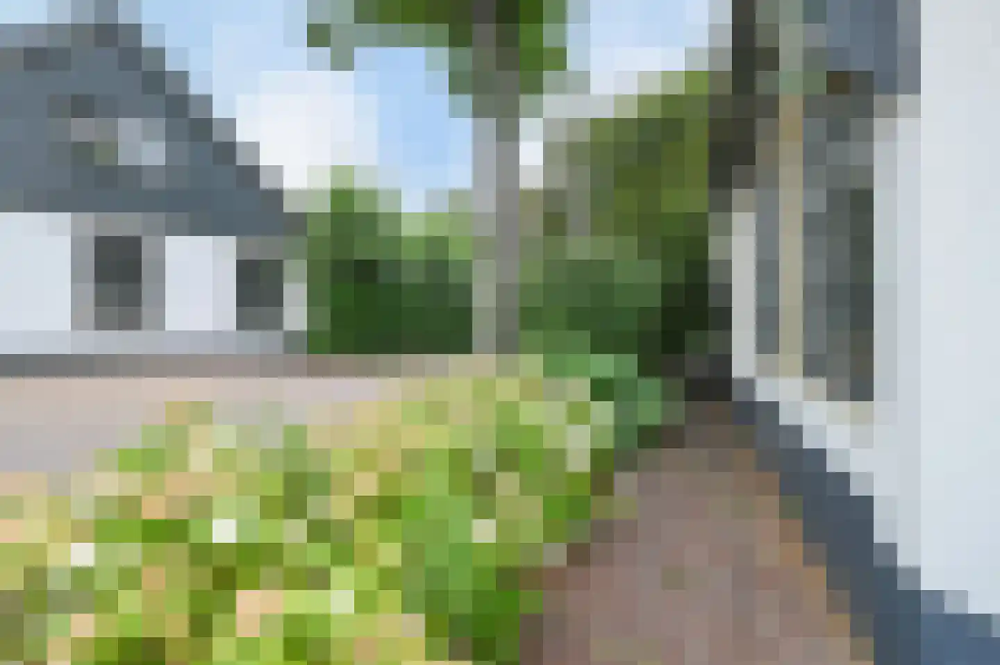 Langestraat 39 Huizen thumbnail 43