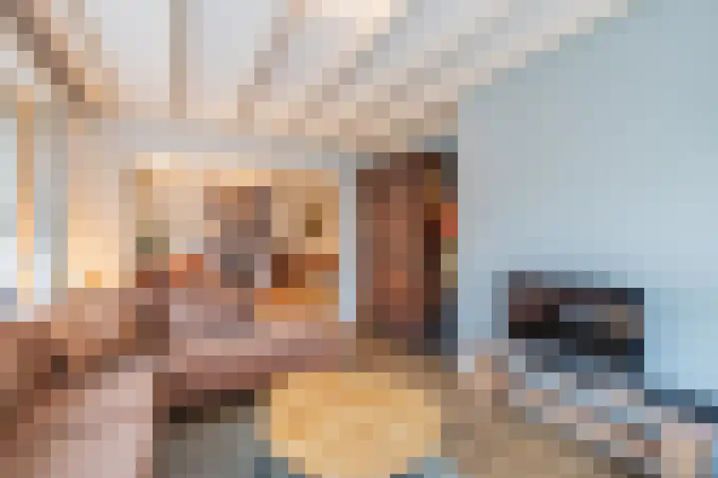 Langestraat 39 Huizen thumbnail 5