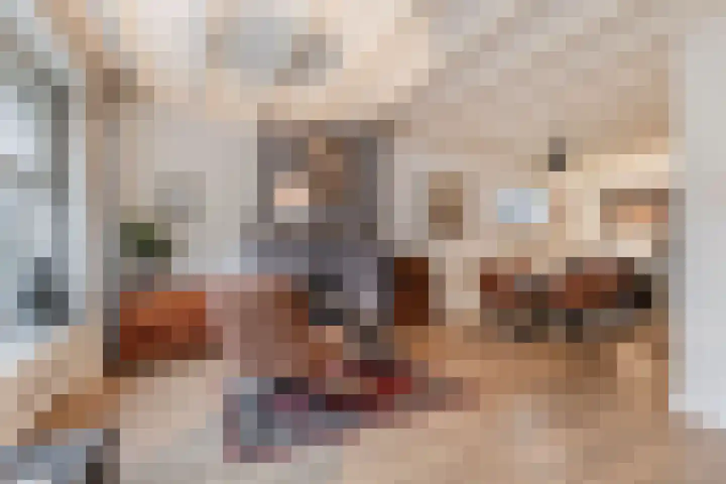 Langestraat 39 Huizen thumbnail 7