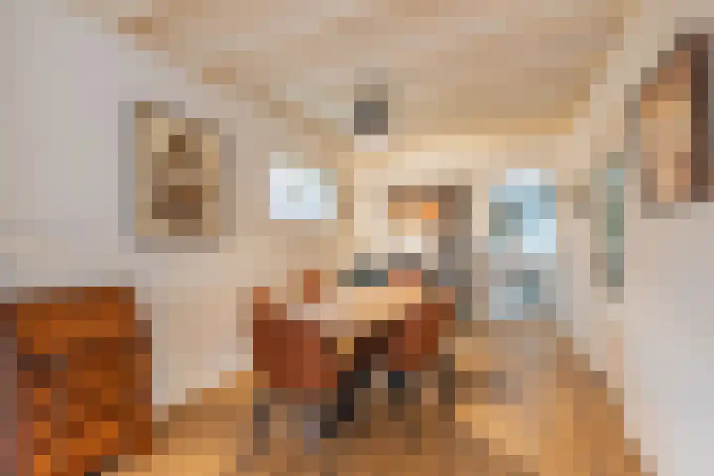 Langestraat 39 Huizen thumbnail 8