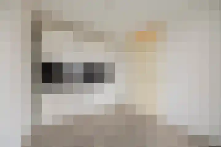 Langestraat 4 02 Tilburg thumbnail 17