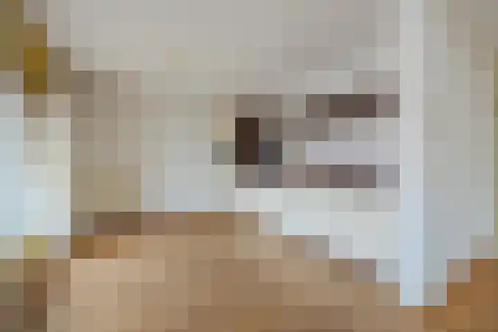 Langestraat 4 02 Tilburg thumbnail 5