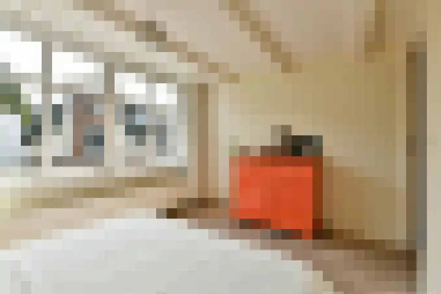 Langestraat 42 H Amsterdam thumbnail 23
