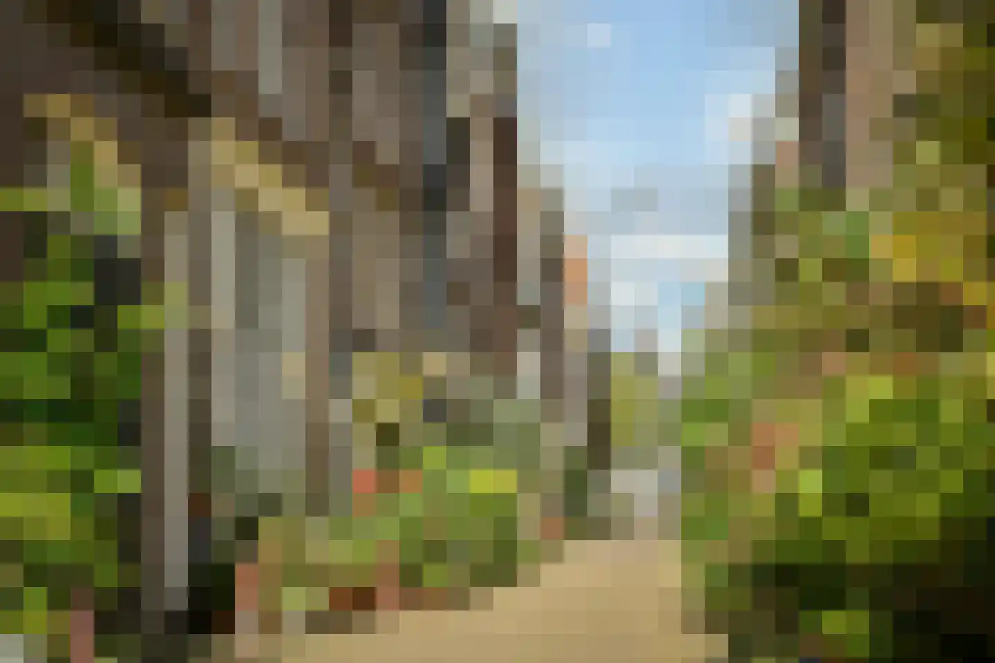 Langestraat 42 H Amsterdam thumbnail 39