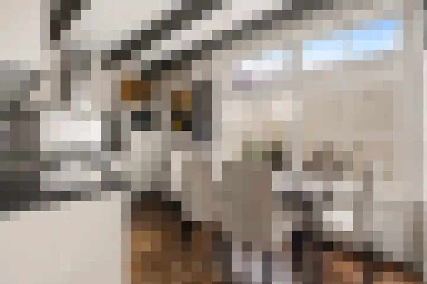 Langestraat 43 D Amsterdam thumbnail 5