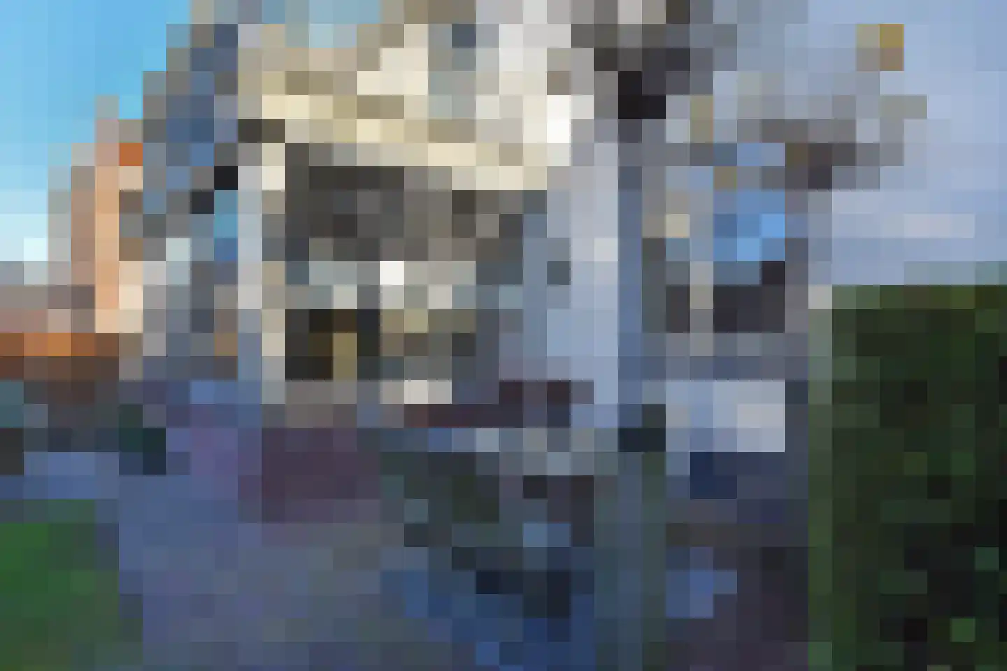 Langestraat 43 's-Gravenzande thumbnail 18