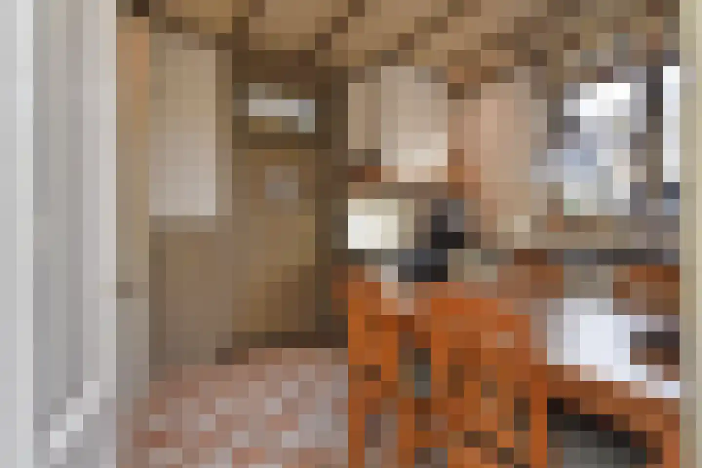 Langestraat 43 's-Gravenzande thumbnail 23
