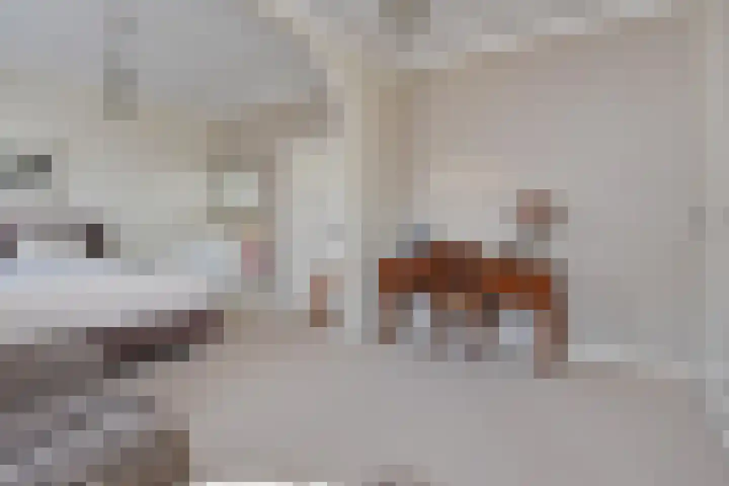 Langestraat 43 's-Gravenzande thumbnail 37