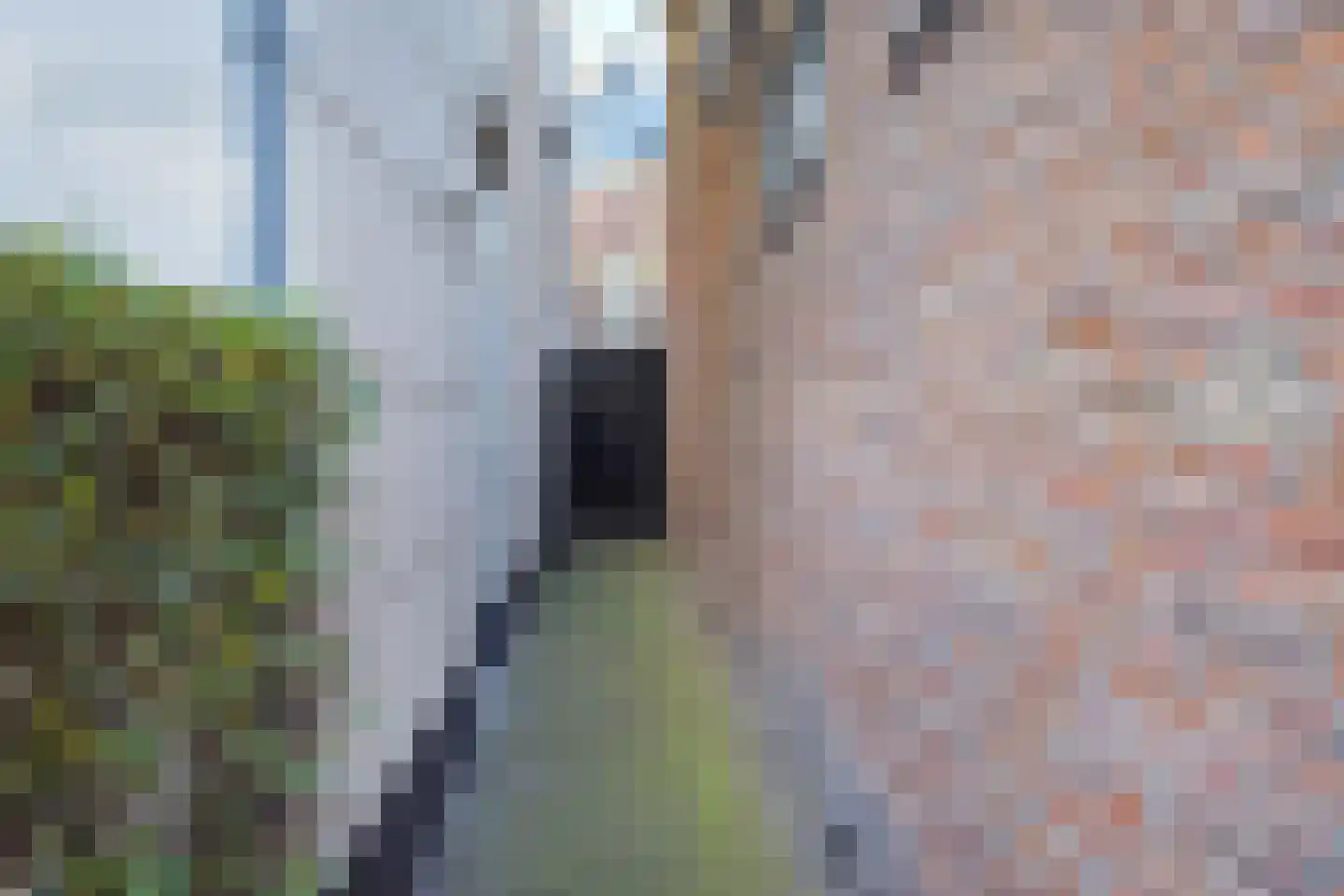 Langestraat 43 's-Gravenzande thumbnail 51