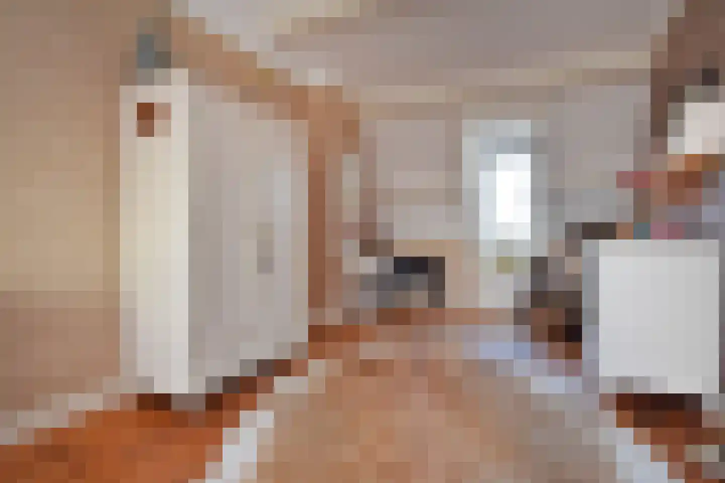 Langestraat 43 's-Gravenzande thumbnail 54