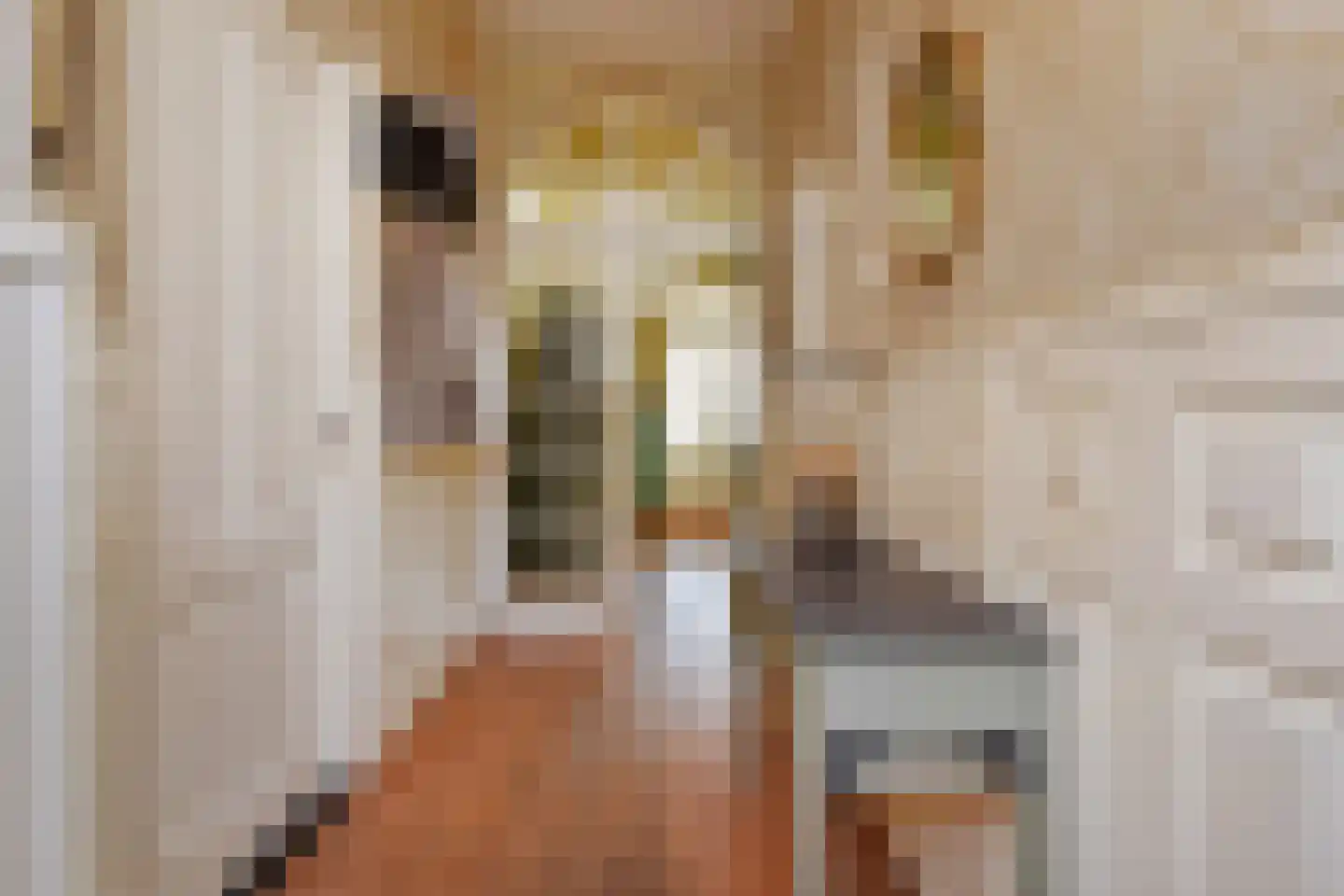 Langestraat 43 's-Gravenzande thumbnail 6