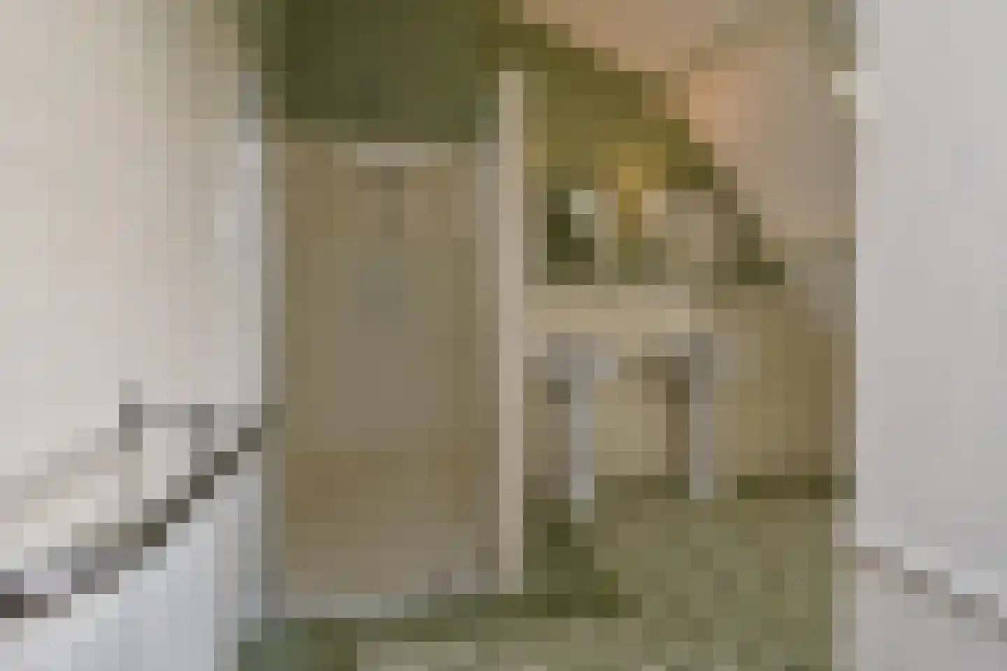 Langestraat 43 's-Gravenzande thumbnail 63