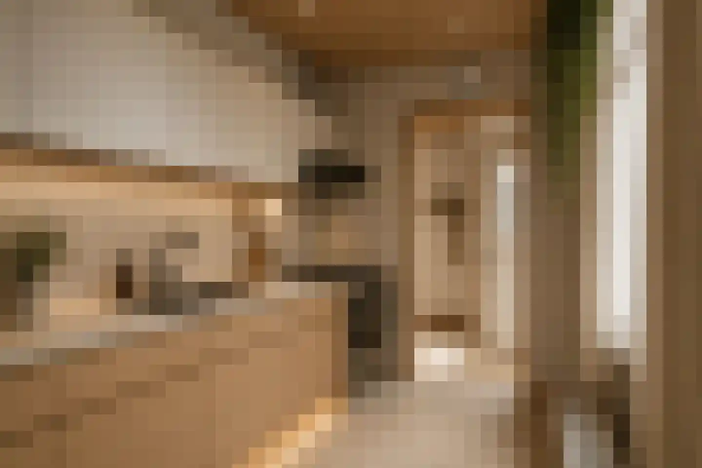 Langestraat 44 Zaandam thumbnail 7