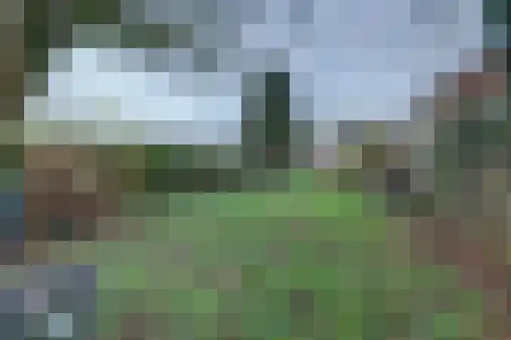 Langestraat 47 Braamt thumbnail 12