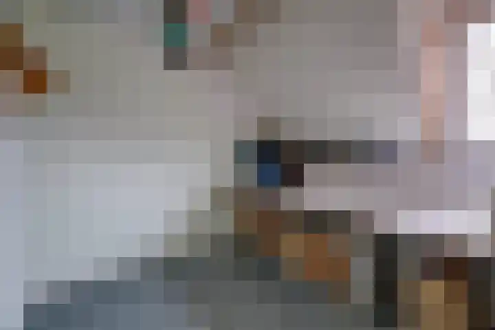 Langestraat 47 Braamt thumbnail 33