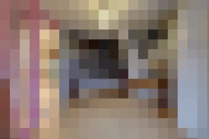 Langestraat 47 Braamt thumbnail 38