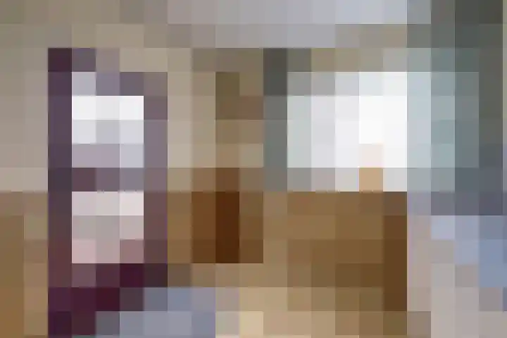 Langestraat 47 Braamt thumbnail 61