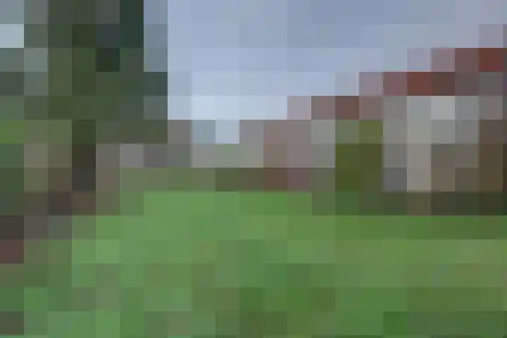 Langestraat 47 Braamt thumbnail 9