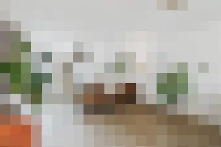 Langestraat 49 Hoek thumbnail 10