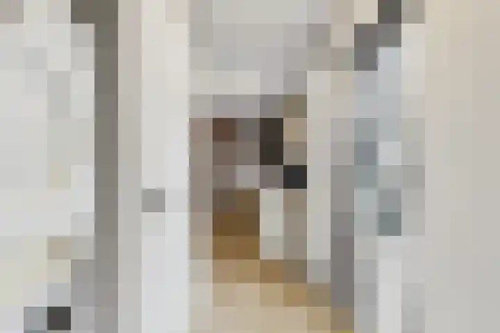 Langestraat 49 Hoek thumbnail 24