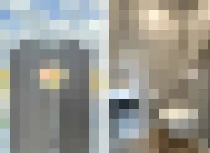 Langestraat 49 Hoek thumbnail 25