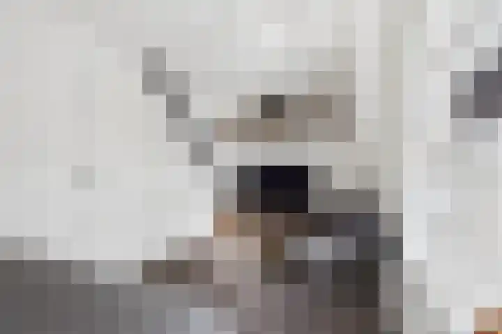 Langestraat 49 Hoek thumbnail 31