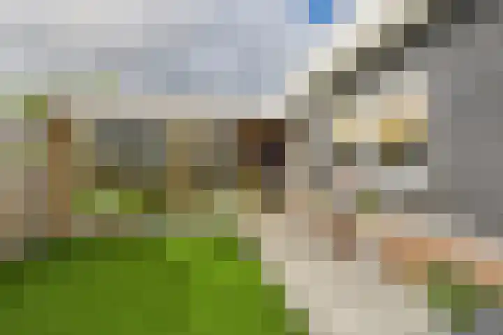 Langestraat 49 Hoek thumbnail 41