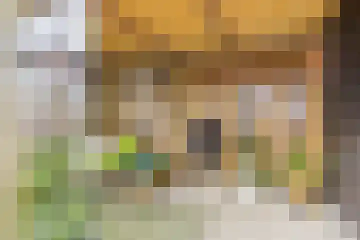 Langestraat 49 Hoek thumbnail 42