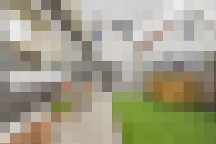 Langestraat 49 Hoek thumbnail 45
