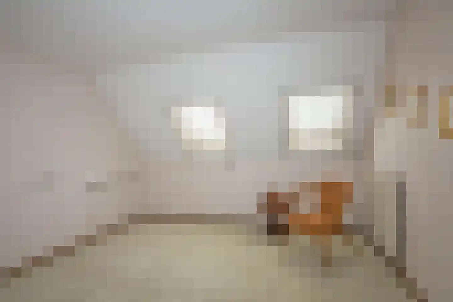 Langestraat 5 Delden thumbnail 17