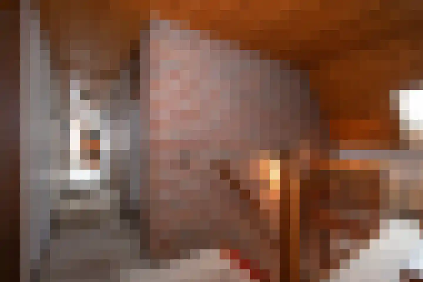 Langestraat 5 Delden thumbnail 24