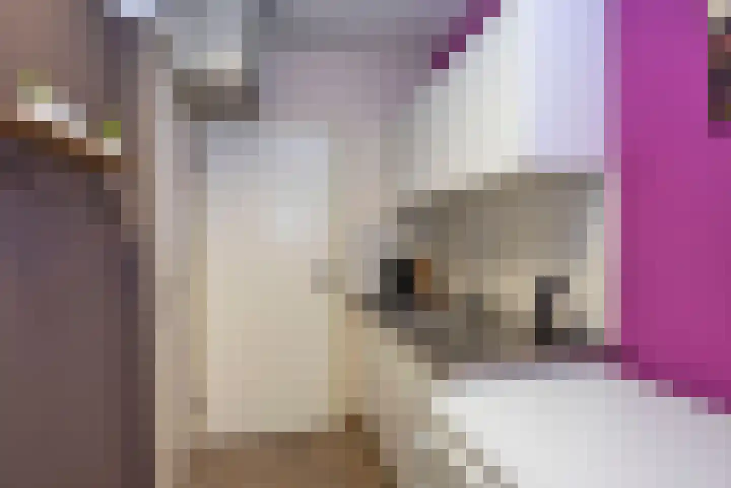 Langestraat 5 Delden thumbnail 30