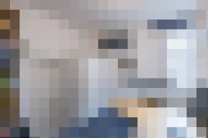 Langestraat 50 Noordhorn thumbnail 22
