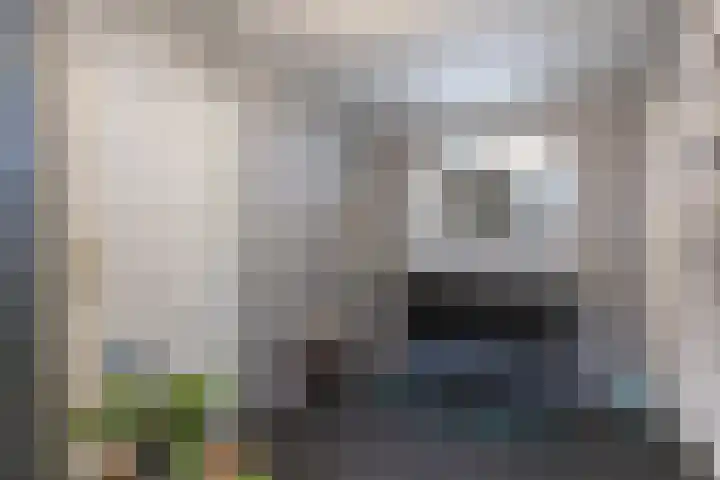 Langestraat 50 Noordhorn thumbnail 27
