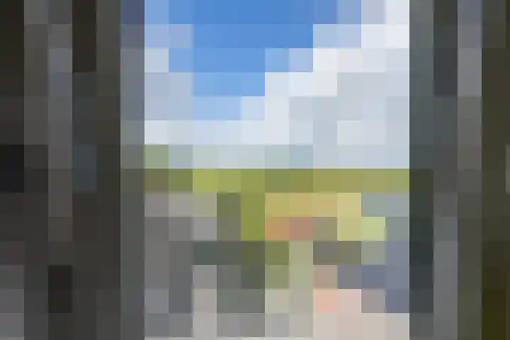 Langestraat 50 Noordhorn thumbnail 43