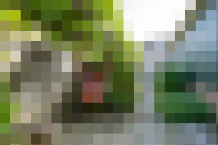Langestraat 50 Noordhorn thumbnail 51
