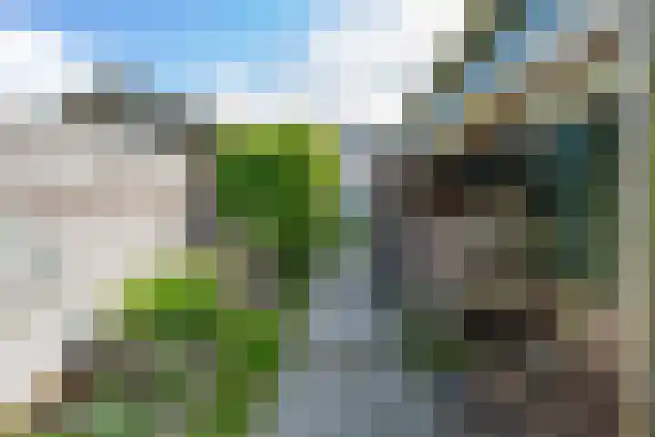 Langestraat 50 Noordhorn thumbnail 52